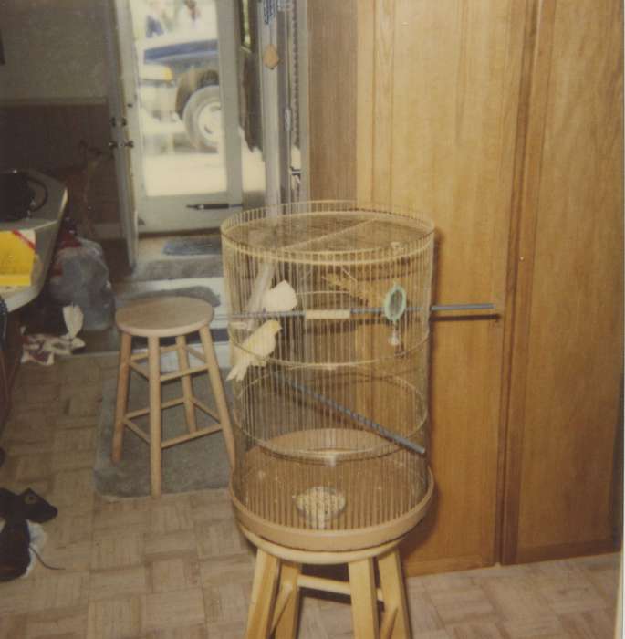 Homes, Patterson, Donna and Julie, Animals, door, Evansdale, IA, Iowa History, Iowa, bird cage, history of Iowa, stool, bird