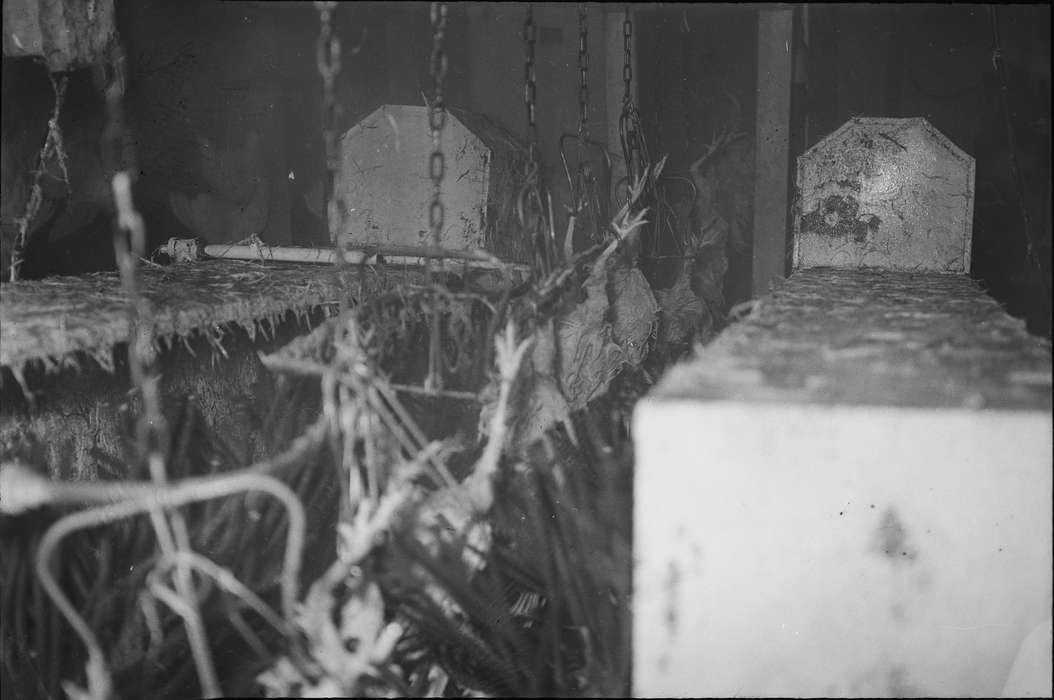 IA, chains, historic, industries--meat processing, Coon Rapids, meat packing plant, Farming Equipment, Animals, hooks, chickens, chicken processing plant, Businesses and Factories, Iowa, United States, Photos, history, ia, Coon Rapids Enterprise