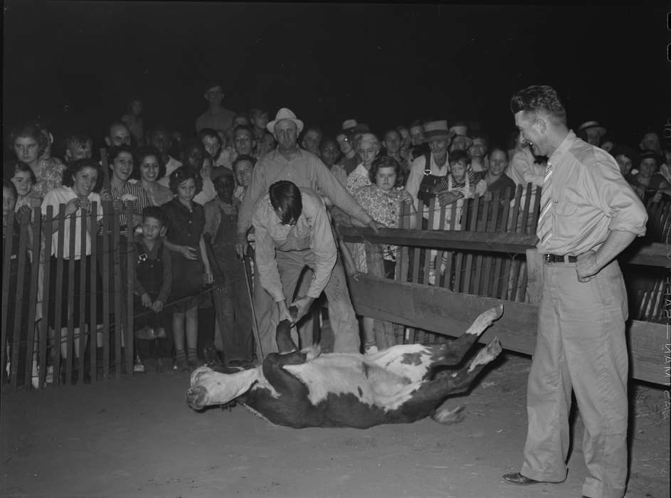 crowd, Iowa History, People of Color, fairground, Iowa, calf, Entertainment, Fairs and Festivals, Leisure, history of Iowa, Children, Animals, Library of Congress, Families, Barns