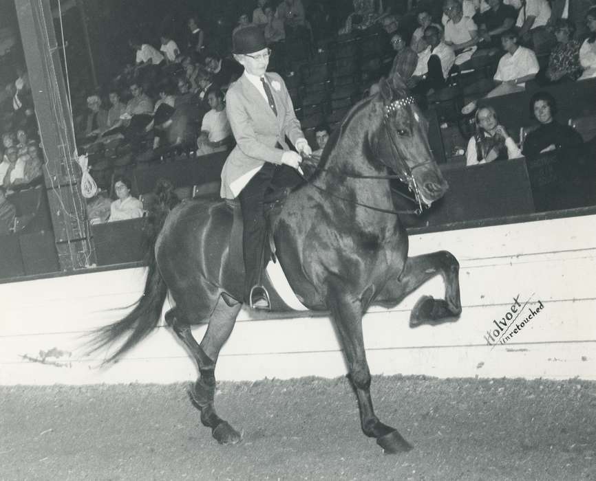 horse, cattle congress, IA, historic, Animals, dressage, english riding, United States, english saddle seat, Waterloo, national cattle congress, history, Photos, Black Hawk, ia, Fairs and Festivals, Grout Museum of History and Science, Iowa, horse riding