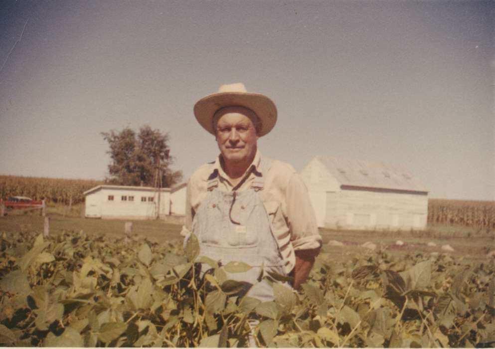 field, history of Iowa, soybean, Iowa, Iowa History, crops, Yezek, Jody, farmer, St. Ansgar, IA, Barns, Farms