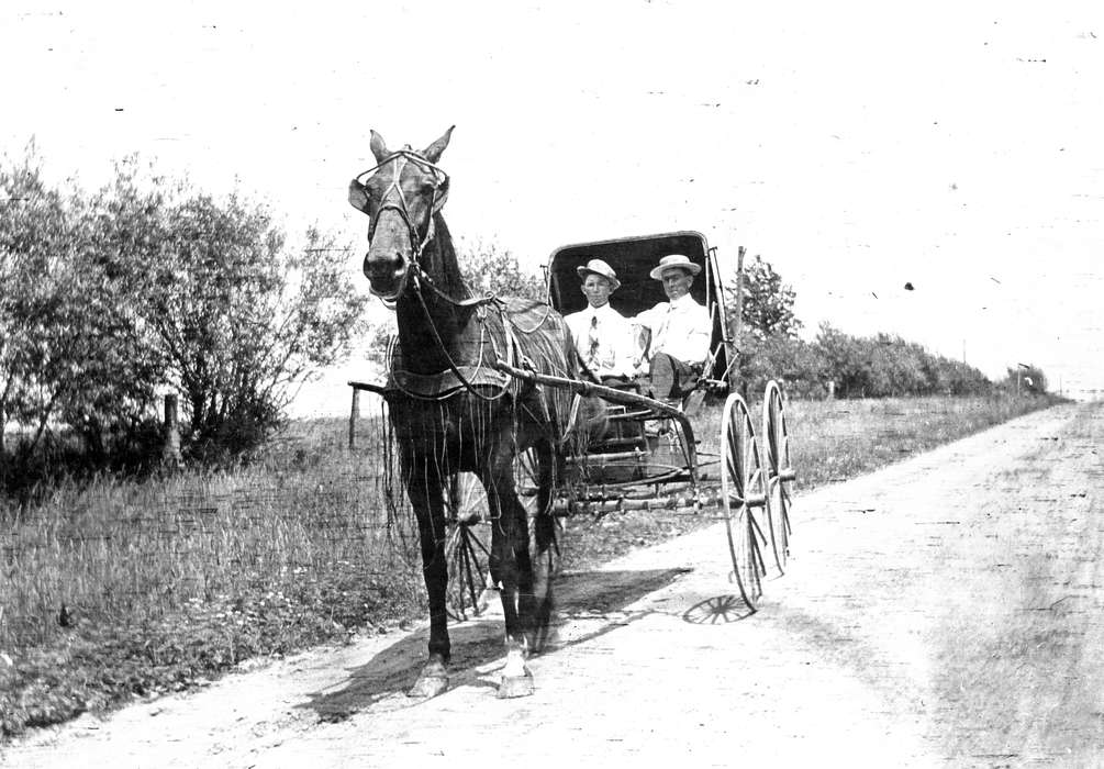 horse and buggy, horse, road, history of Iowa, Iowa History, Animals, Farley, IA, Scherrman, Pearl, Iowa