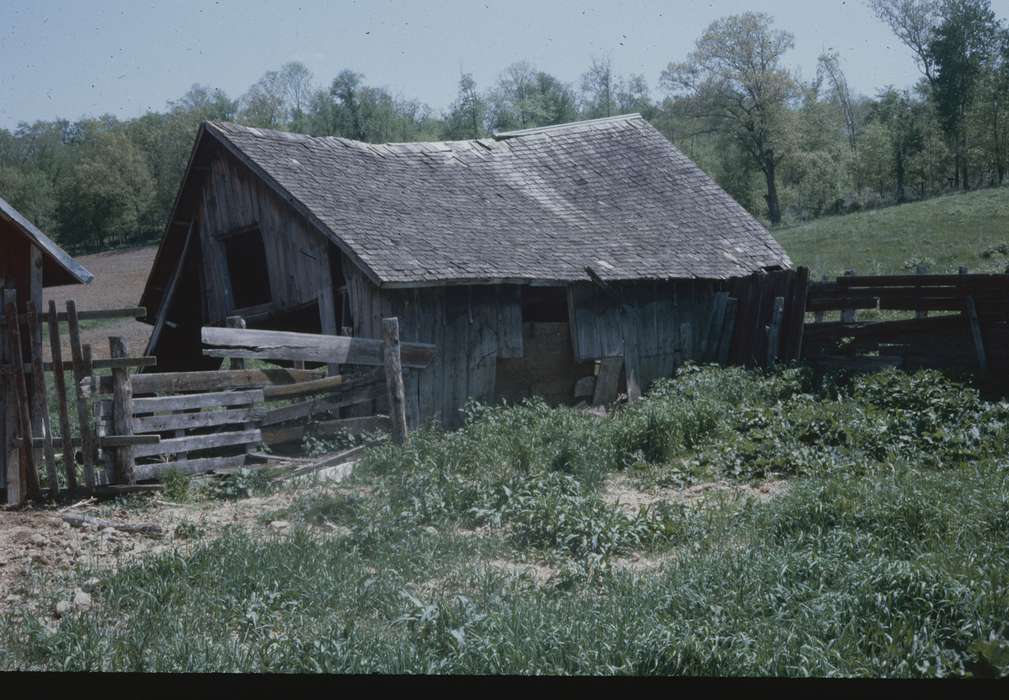 Zischke, Ward, old barn, Iowa History, Iowa, Barns, history of Iowa, IA