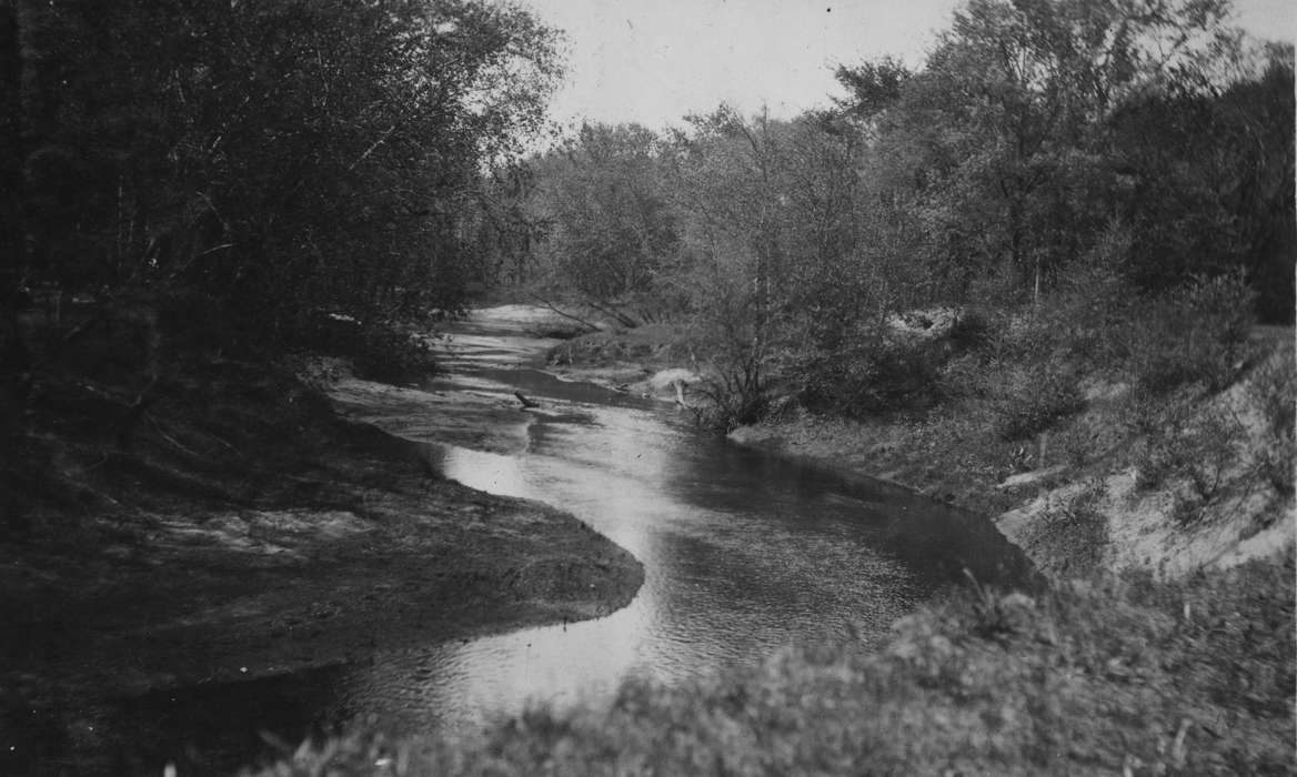 forest, nature, Lakes, Rivers, and Streams, Iowa History, King, Tom and Kay, Landscapes, stream, Iowa, history of Iowa, IA