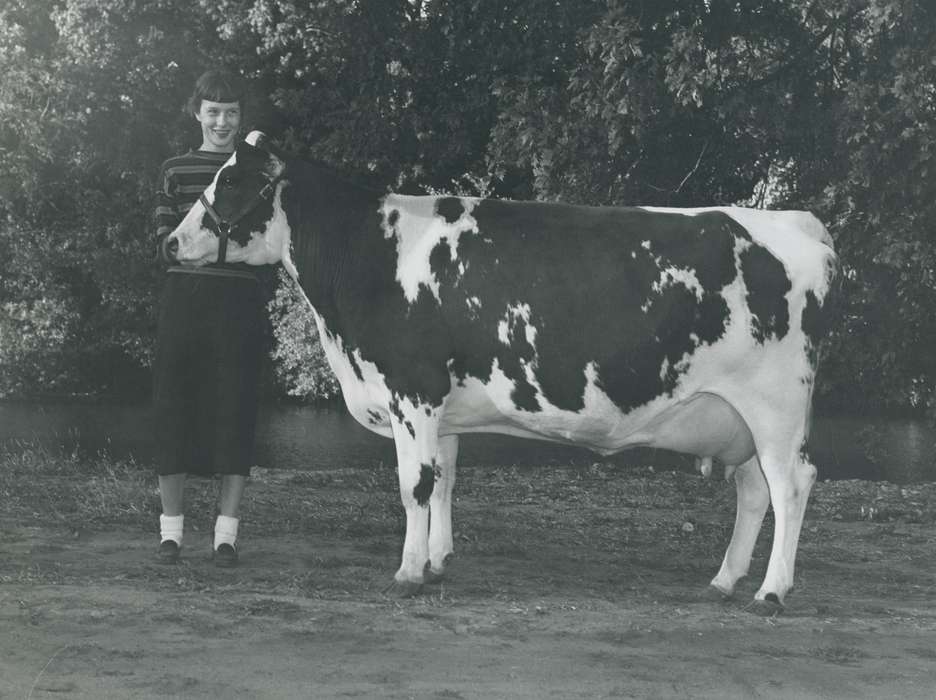 history, holstein cow, Photos, cattle congress, Black Hawk, IA, cow, holstein, Animals, ia, historic, United States, Grout Museum of History and Science, Waterloo, Iowa, national cattle congress