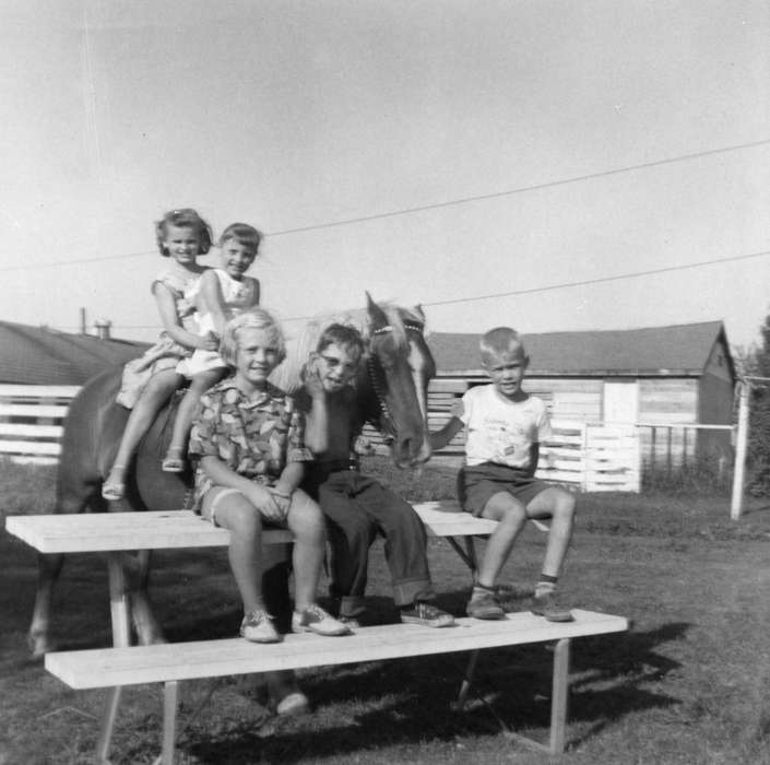 Children, Shaw, Marilyn, horse, picnic table, picnic basket, Dyersville, IA, Iowa History, Iowa, Farms, history of Iowa, shed, Animals
