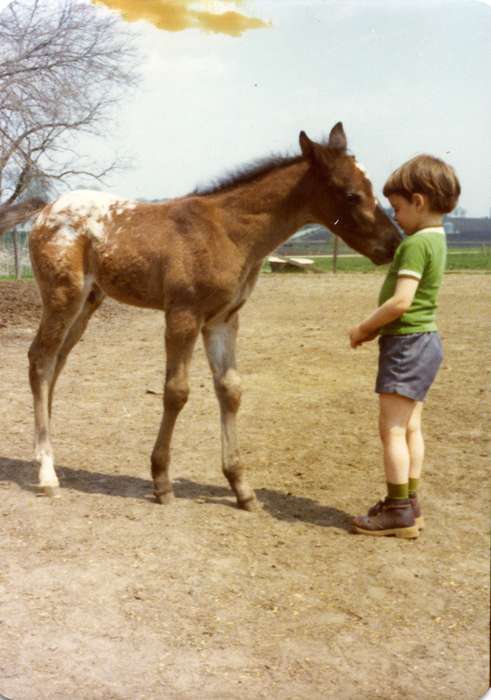 horse, history of Iowa, foal, Children, Iowa, Iowa History, Olsson, Ann and Jons, Waterloo, IA, Animals, boy