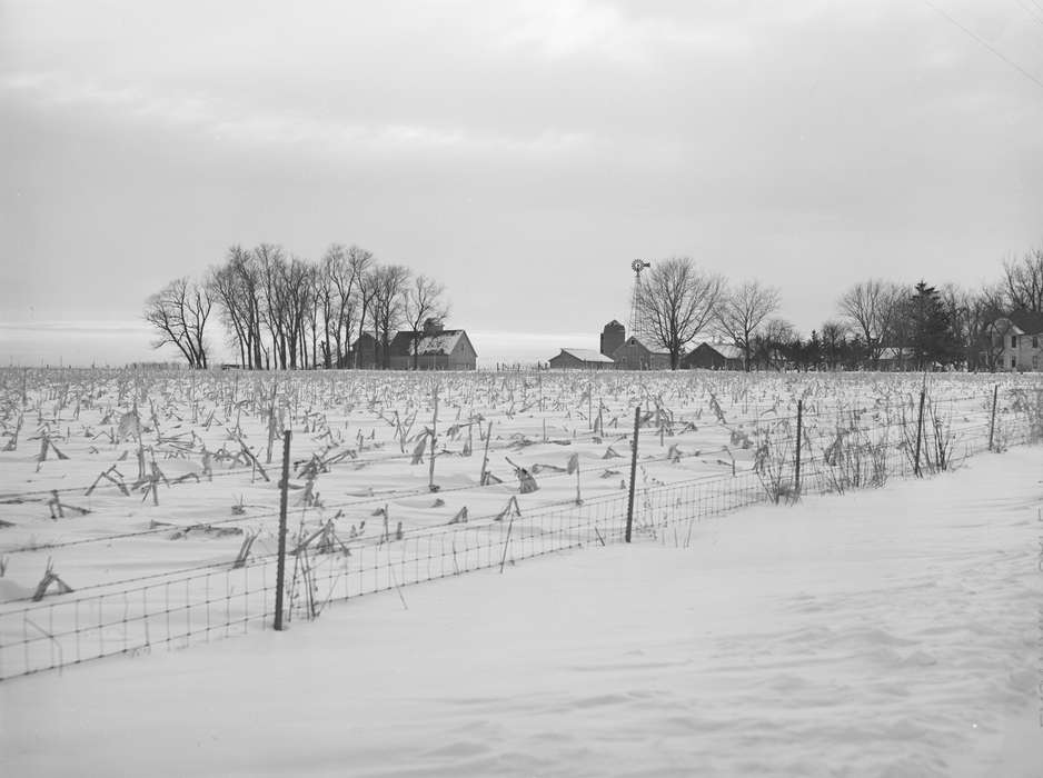 homestead, silo, tree, cornfield, barbed wire fence, Winter, Homes, Iowa, shed, cornstalk, Landscapes, farmhouse, Library of Congress, Iowa History, Barns, history of Iowa, woven wire fence, snow, windmill