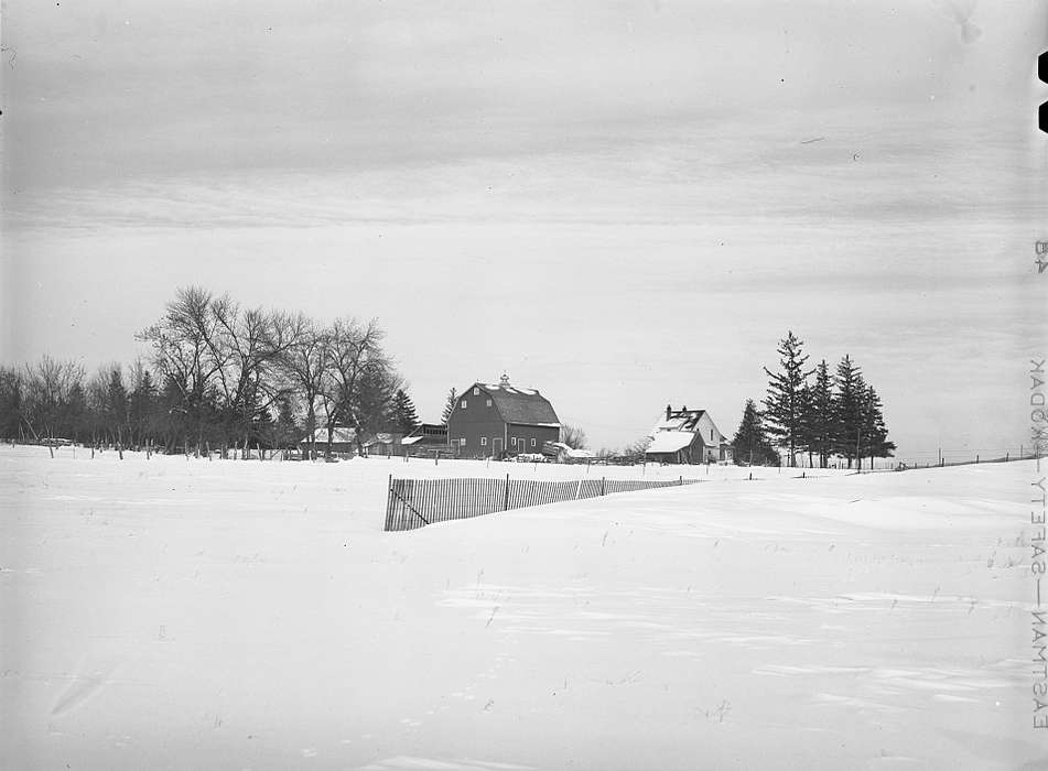 fields, Landscapes, Library of Congress, sheds, history of Iowa, homestead, Homes, Winter, snow fence, Iowa, Iowa History, red barn, Barns, Farms, farmhouse, trees