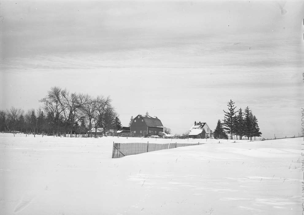 snow fence, Landscapes, homestead, Library of Congress, Winter, farmhouse, history of Iowa, tree, field, Iowa, Farms, Barns, shed, Iowa History, Homes