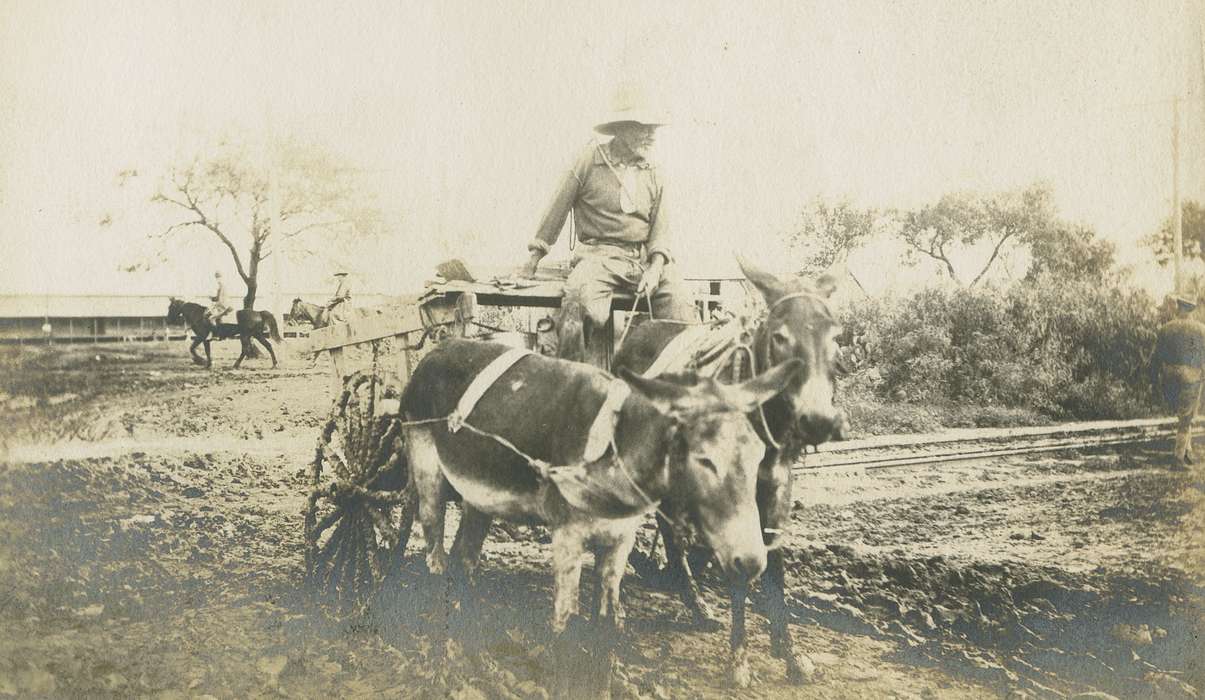 mule, Farming Equipment, wagon, Iowa History, history of Iowa, Animals, LeQuatte, Sue, Farms, Iowa, horse, IA
