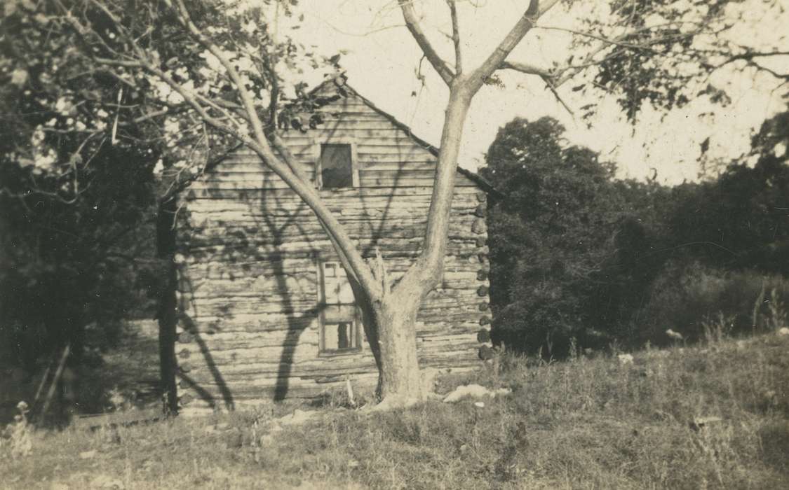 tree, O'Brink, Lisa, house, cabin, Homes, log