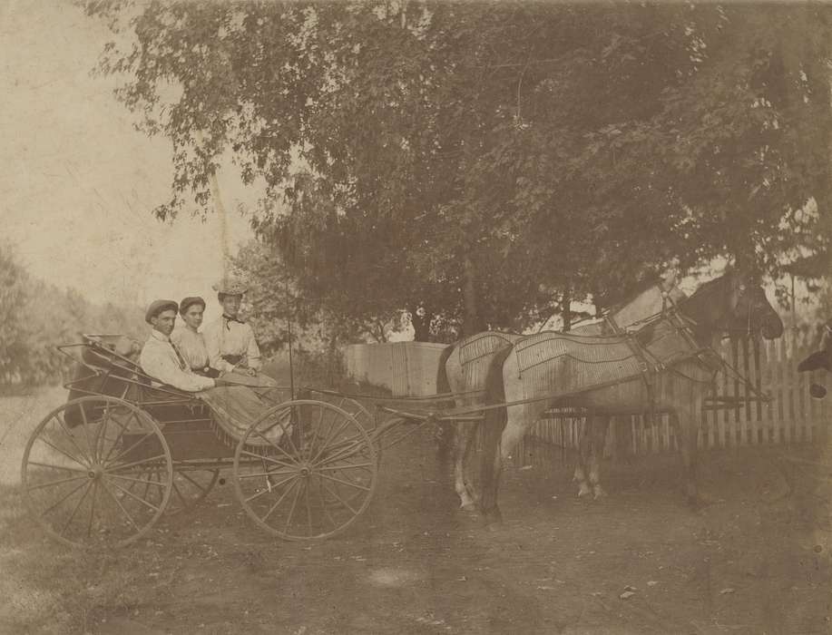 carriage, group, horse, Iowa History, history of Iowa, buggy, horse and buggy, Iowa, Animals, Leisure, Neymeyer, Robert