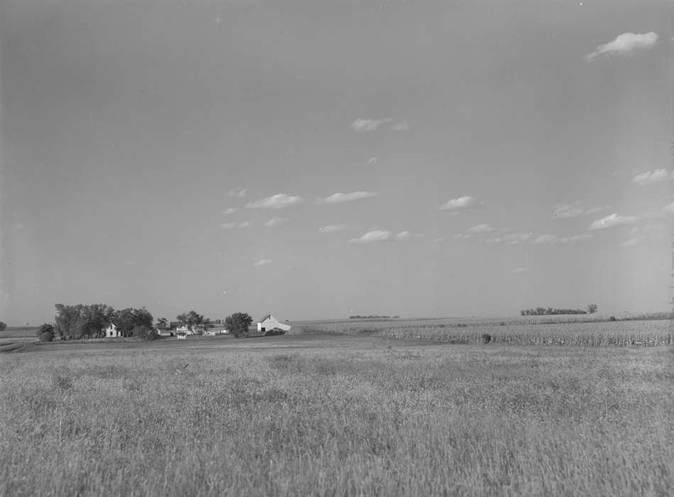 barn, fields, Landscapes, Library of Congress, sheds, cornfield, history of Iowa, homestead, Homes, hay mound, Iowa, Iowa History, Barns, Farms, farmhouse, trees