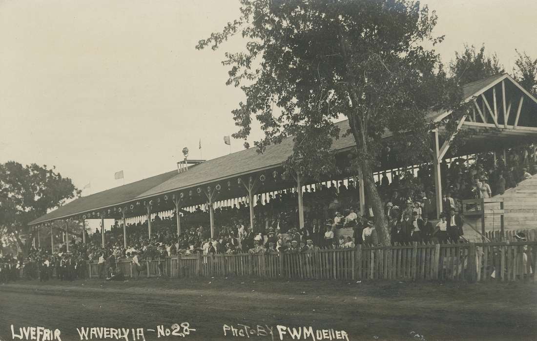 Fairs and Festivals, Iowa History, crowd, fence, fair, history of Iowa, Meyer, Mary, Iowa