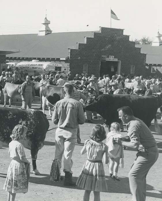 Black Hawk, cattle congress, IA, Photos, Waterloo, ia, national cattle congress, United States, Animals, history, Iowa, cow, Grout Museum of History and Science, historic, Fairs and Festivals