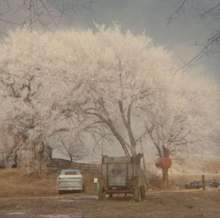 tree, Winter, frost, Benda, Carolyn, Iowa History, truck, Landscapes, Iowa, history of Iowa, IA, Motorized Vehicles