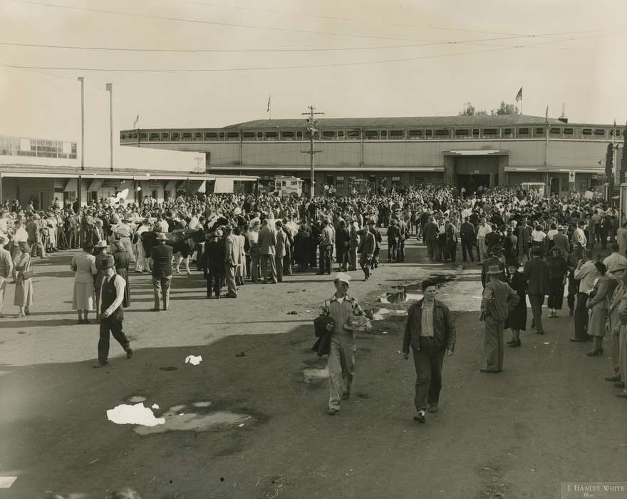 Black Hawk, Fairs and Festivals, Photos, ia, cattle congress, historic, history, Grout Museum of History and Science, United States, Iowa, Waterloo, IA, national cattle congress