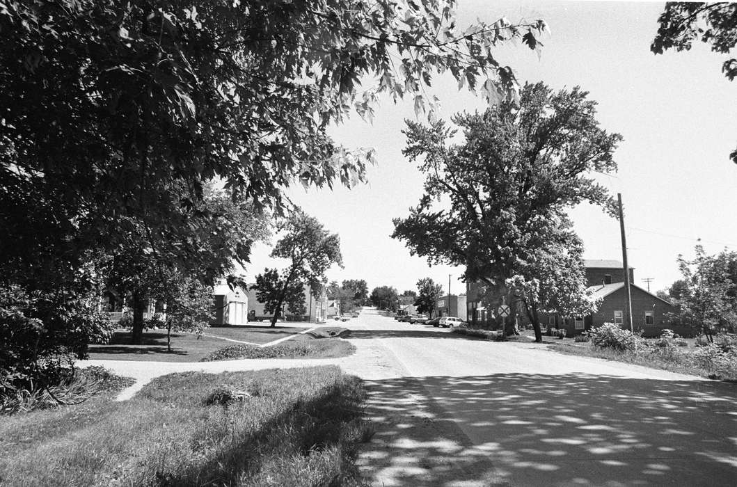 tree, Cities and Towns, dirt road, Lemberger, LeAnn, neighborhood, Iowa History, Douds, IA, Landscapes, Iowa, history of Iowa, sign, grass, Businesses and Factories