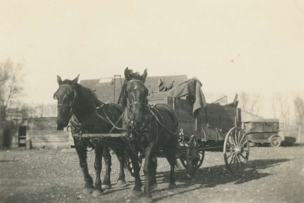 Iowa, Farms, Waverly Public Library, Waverly, IA, horse and buggy, wooden fence, Animals, Landscapes, horse, history of Iowa, Iowa History