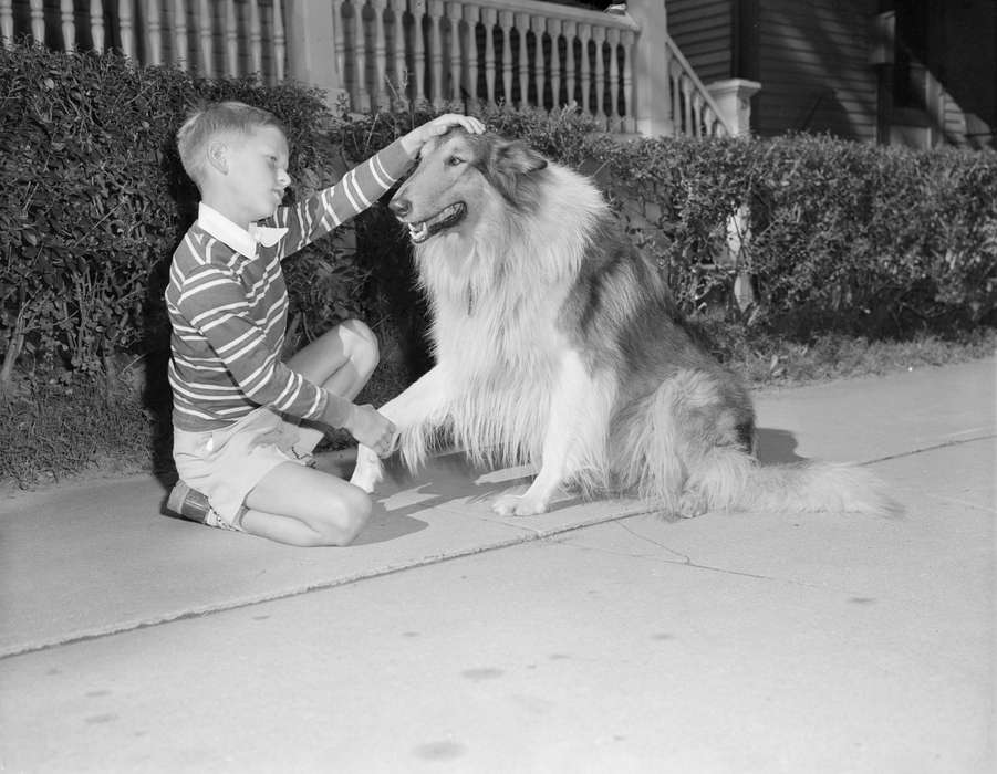 history of Iowa, Iowa, first day of school, Schools and Education, Iowa History, dog, Edward A. Sherman Publishing Co.