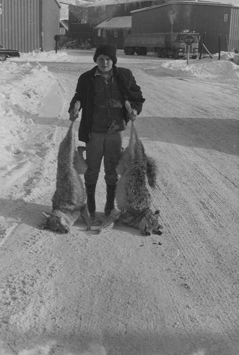 semi, IA, historic, Coon Rapids, stop sign, Animals, semi truck, coyote, Iowa, snow, stocking hat, United States, Photos, history, cab-over, ia, Coon Rapids Enterprise, Children