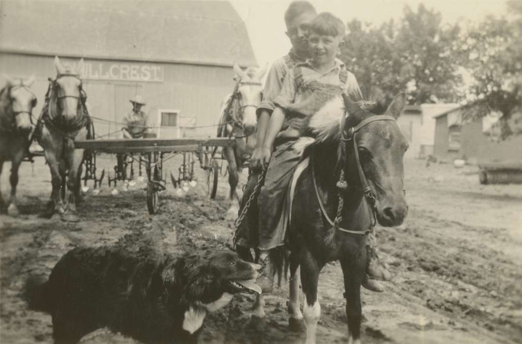 Barns, Farming Equipment, horses, Mortenson, Jill, Iowa History, history of Iowa, Animals, plow, Farms, Macey, IA, Children, Iowa, horse, Portraits - Group