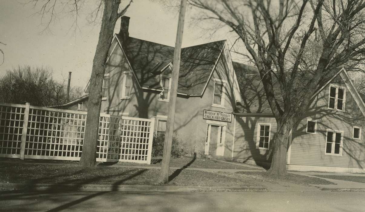 hatchery, history of Iowa, Iowa, Webster City, IA, Businesses and Factories, McMurray, Doug, Iowa History