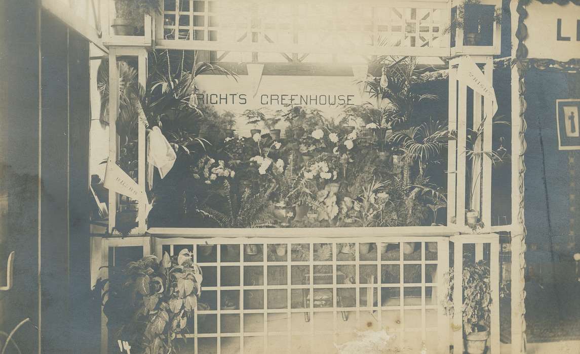 Iowa History, history of Iowa, Iowa, flowers, Businesses and Factories, flower pot, greenhouse, Meyer, Mary