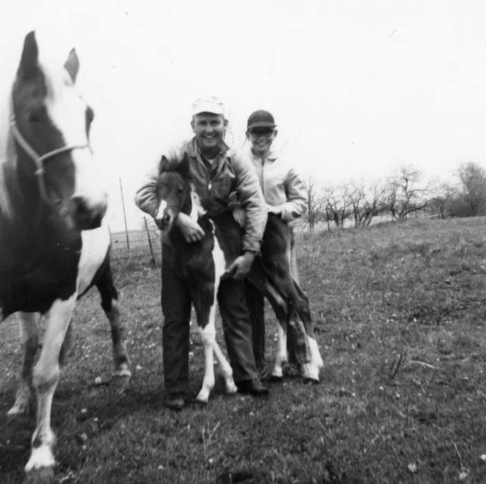 Animals, Schrodt, Evelyn, Iowa History, foal, Farms, history of Iowa, Portraits - Group, horse, Murray, IA, Iowa