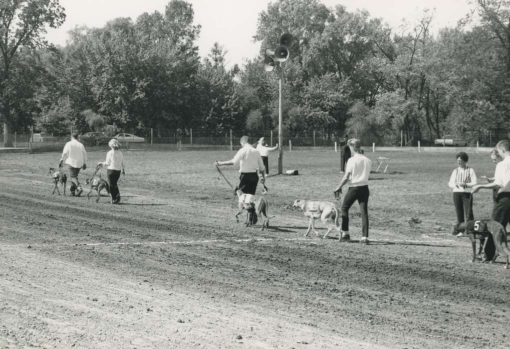 IA, Animals, Black Hawk, historic, dogs, Iowa, national cattle congress, United States, greyhound, ia, Waterloo, cattle congress, Photos, history, dog, Grout Museum of History and Science