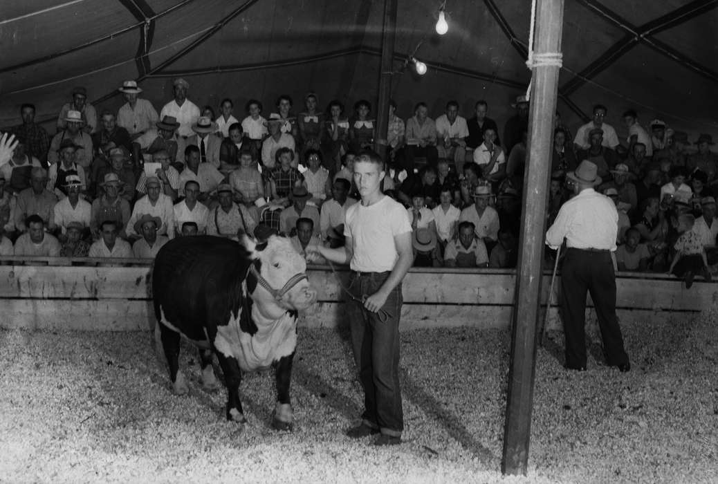 IA, historic, crowd, Coon Rapids, Fairs and Festivals, Animals, cow, tent, showing, Portraits - Individual, Iowa, United States, Photos, history, Entertainment, ia, Coon Rapids Enterprise, young man