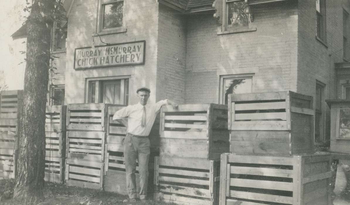 Iowa, Businesses and Factories, Portraits - Individual, Webster City, IA, history of Iowa, Iowa History, hatchery, Labor and Occupations, McMurray, Doug, crate