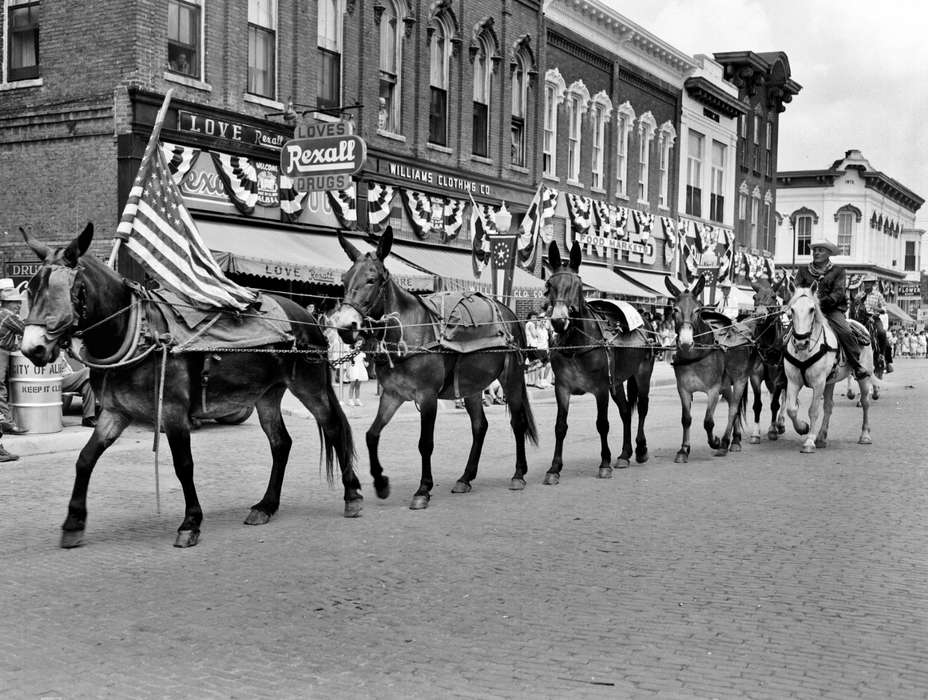 mule, parade, Iowa, horse, Animals, Main Streets & Town Squares, storefront, Entertainment, Albia, IA, Iowa History, sign, history of Iowa, Fairs and Festivals, Lemberger, LeAnn, mainstreet, flag