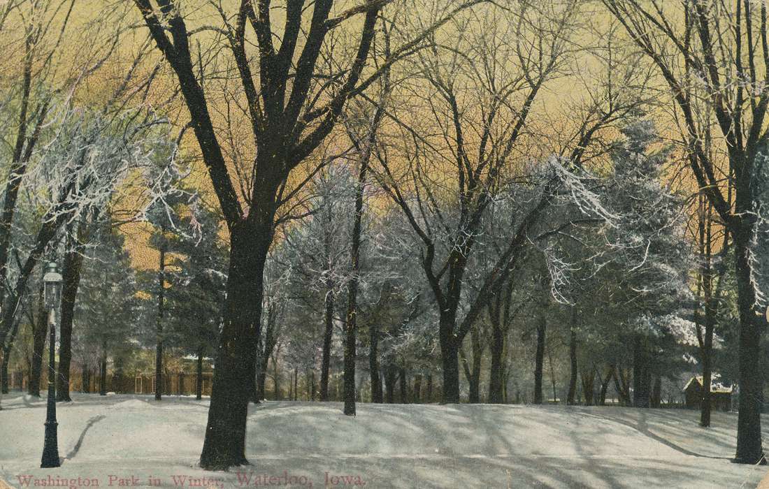post card, Winter, historic, Black Hawk, park, United States, Photos, Iowa, pine trees, Waterloo, tree, lamppost, Landscapes, ia, Olsson, Ann, trees, history, snowy, IA, lamp post
