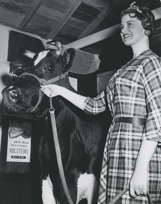 Animals, Photos, history, ia, historic, smile, Iowa, cow, crown, national cattle congress, cattle congress, dairy princess, IA, Portraits - Individual, Black Hawk, Waterloo, Fairs and Festivals, Grout Museum of History and Science, United States