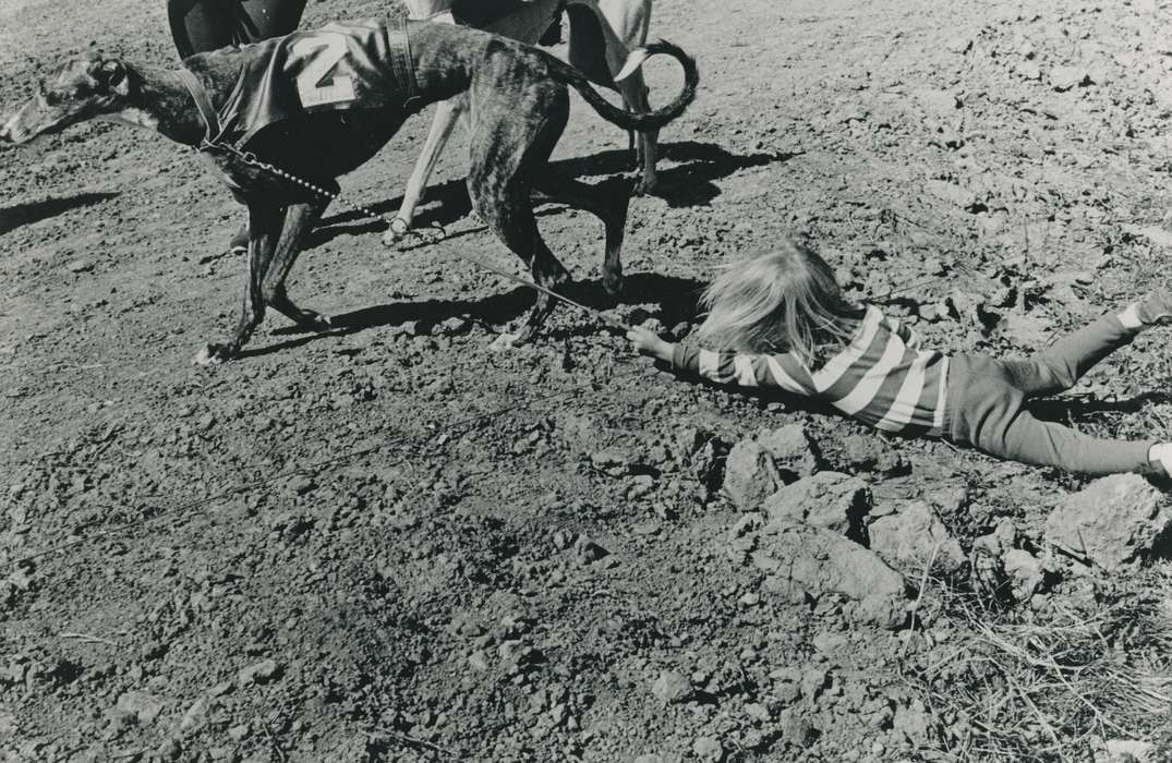 IA, Animals, Black Hawk, historic, Iowa, national cattle congress, United States, greyhound, ia, kid, Waterloo, cattle congress, Children, Photos, history, dog, Grout Museum of History and Science