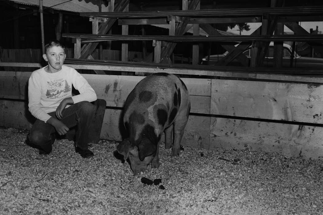 IA, bleachers, historic, Coon Rapids, Fairs and Festivals, droppings, Animals, tent, Portraits - Individual, Iowa, United States, Photos, boy, history, pig, ia, Coon Rapids Enterprise, Children, pigpen