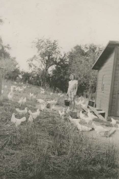 Cook, Mavis, chicken, Iowa, Iowa History, Farms, Animals, chicken coop, chickens, Rural Hubbard, IA, history of Iowa