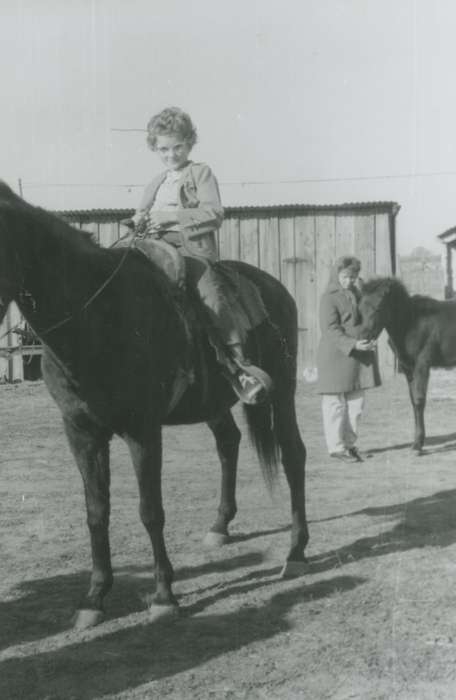 Dysart, IA, history of Iowa, Outdoor Recreation, Iowa, Iowa History, Bull, Ardith, horse, Farms