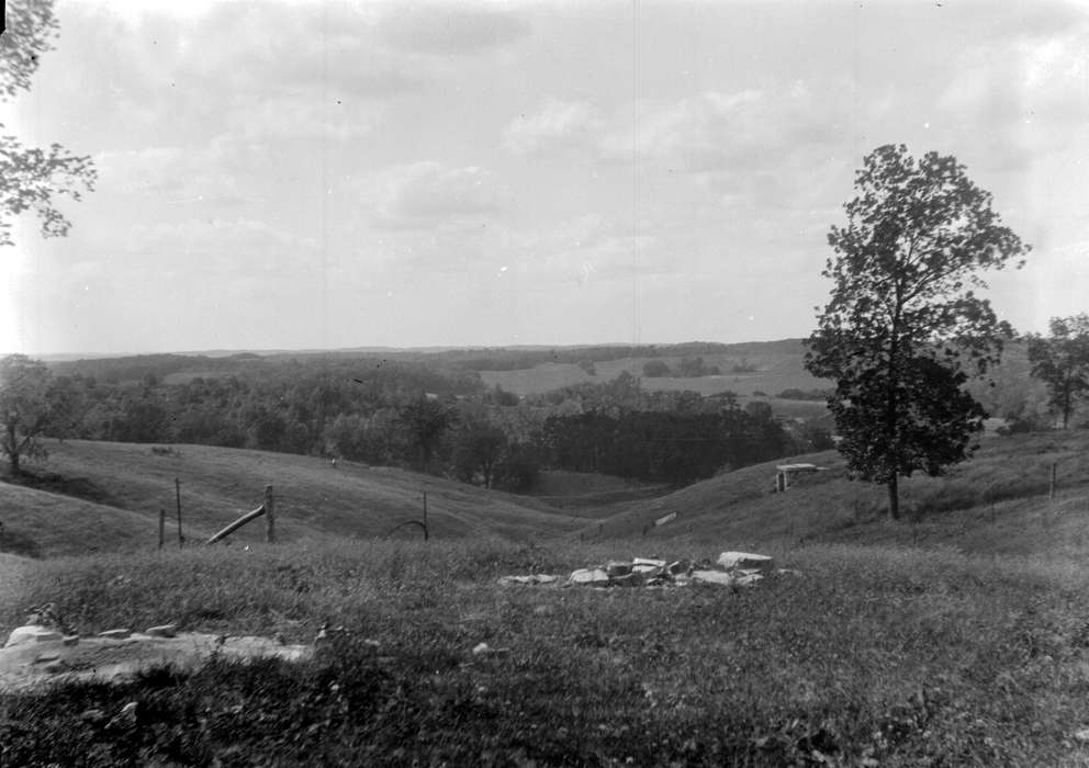 field, Landscapes, tree, Stone City, IA, Lemberger, LeAnn, hill, grass, history of Iowa, Iowa History, stone city art colony, view, Iowa