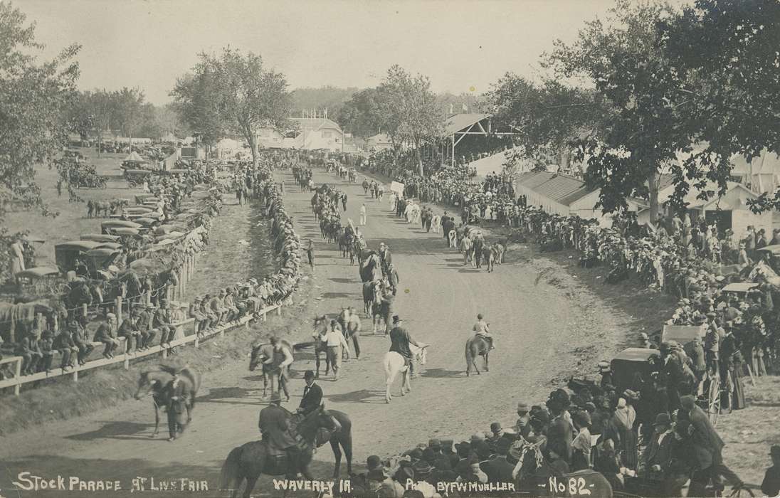 horses, parade, Fairs and Festivals, Iowa History, Waverly, IA, Waverly Public Library, Civic Engagement, Animals, Iowa, fair, race track, history of Iowa