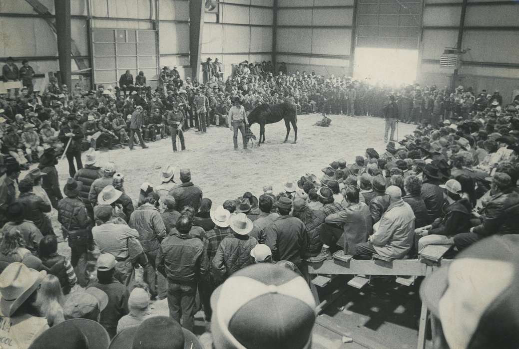 Barns, Animals, Waverly Public Library, Iowa History, Waverly, IA, horse show, horse sale, Iowa, history of Iowa