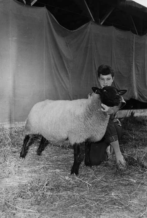 Portraits - Individual, Iowa, IA, United States, Photos, historic, Coon Rapids, Fairs and Festivals, sheep, history, Animals, young girl, Coon Rapids Enterprise, ia, Children, tent