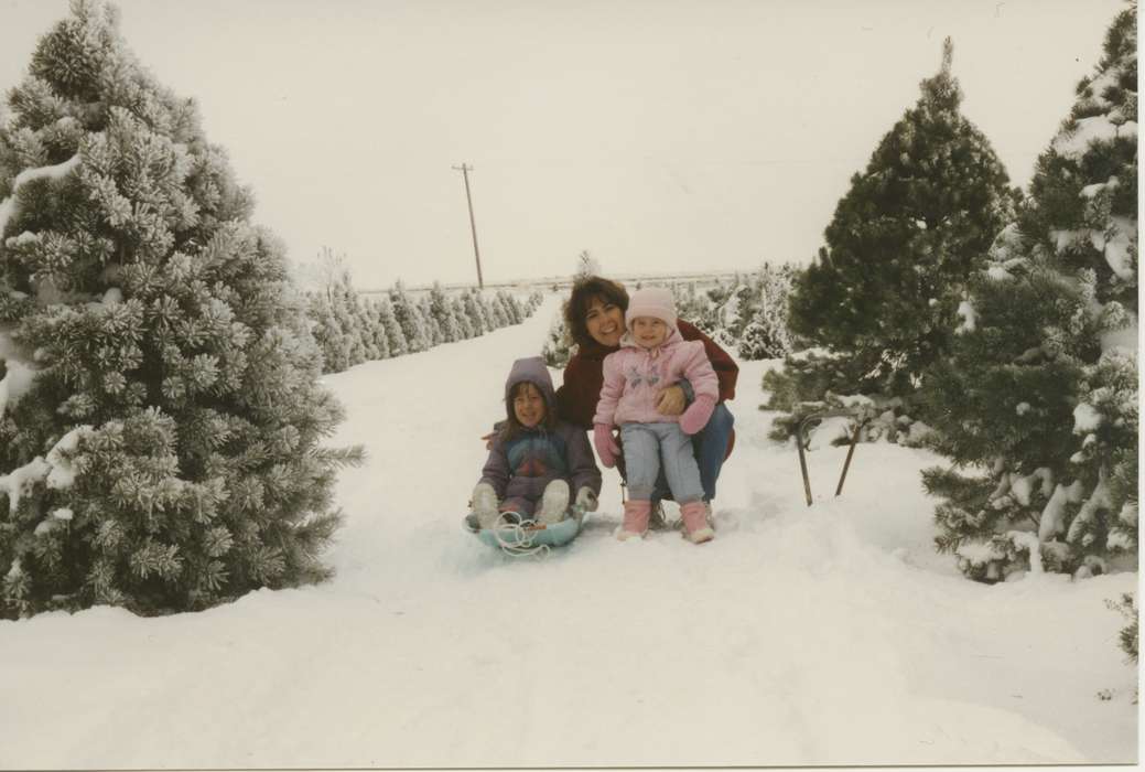 pine trees, Winter, Children, Iowa History, Cedar Rapids, IA, Nulty, Tom and Carol, Portraits - Group, Families, snow, Holidays, christmas tree, Iowa, history of Iowa, sled