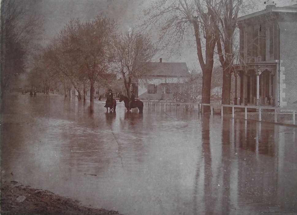 horse, Floods, Cities and Towns, Eddyville, IA, Lemberger, LeAnn, Iowa History, Animals, Iowa, history of Iowa