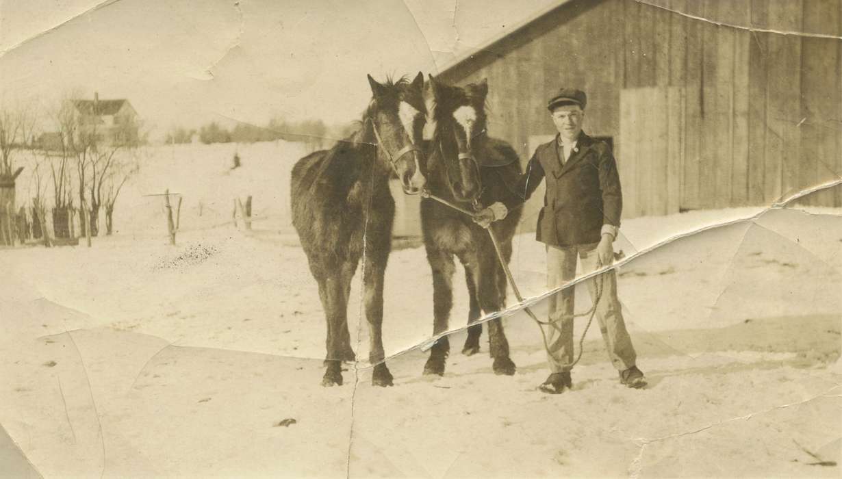 horses, snow, Hawleyville, IA, Iowa History, history of Iowa, Iowa, Portraits - Individual, Salway, Evelyn, horse, Animals