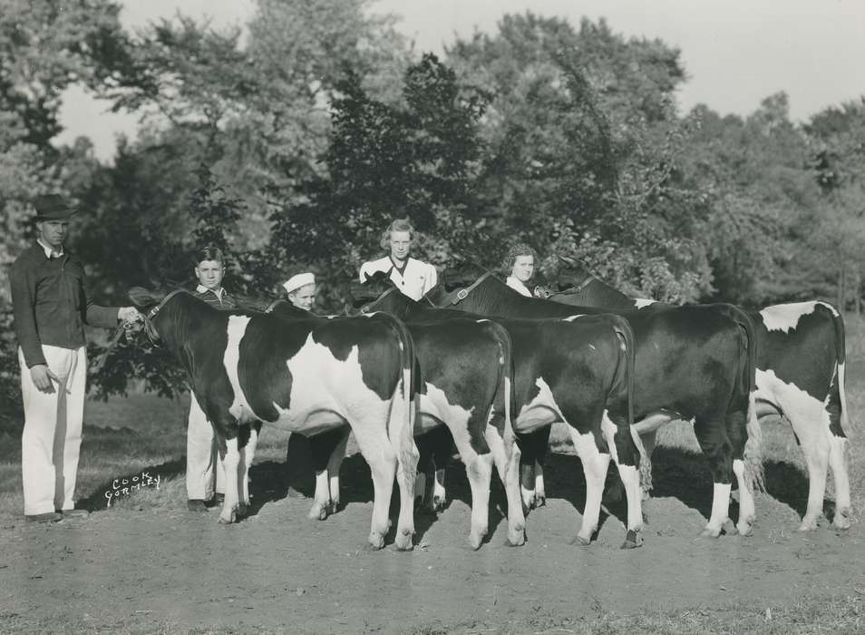 man, cattle congress, IA, historic, Animals, holstein, United States, outside, Waterloo, national cattle congress, history, holstein cow, Photos, Black Hawk, ia, Portraits - Group, teenager, Grout Museum of History and Science, Iowa