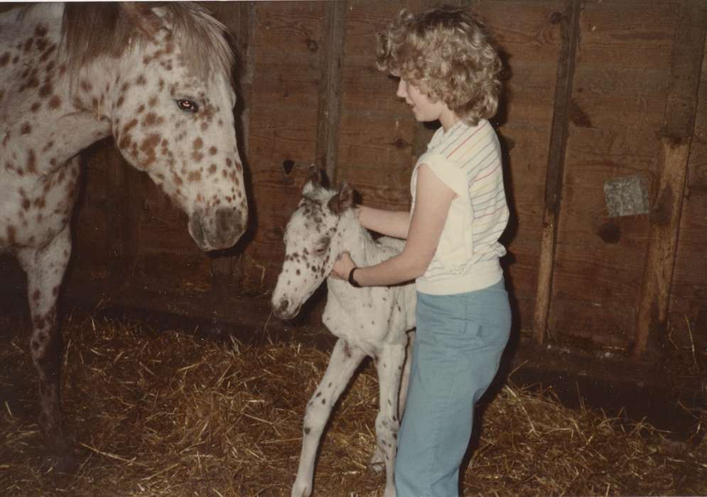 Farms, Animals, Barns, Iowa History, history of Iowa, Schmillen, Gloria, Marcus, IA, Children, Iowa, horse, foal