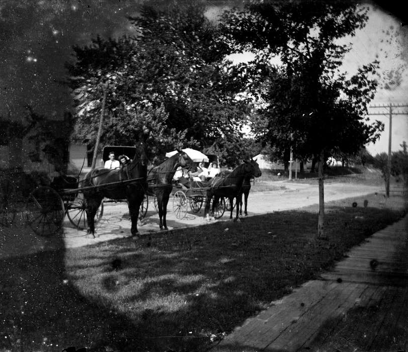 Animals, Ottumwa, IA, horse and buggy, Lemberger, LeAnn, horse, history of Iowa, Iowa History, Iowa, wood sidewalk